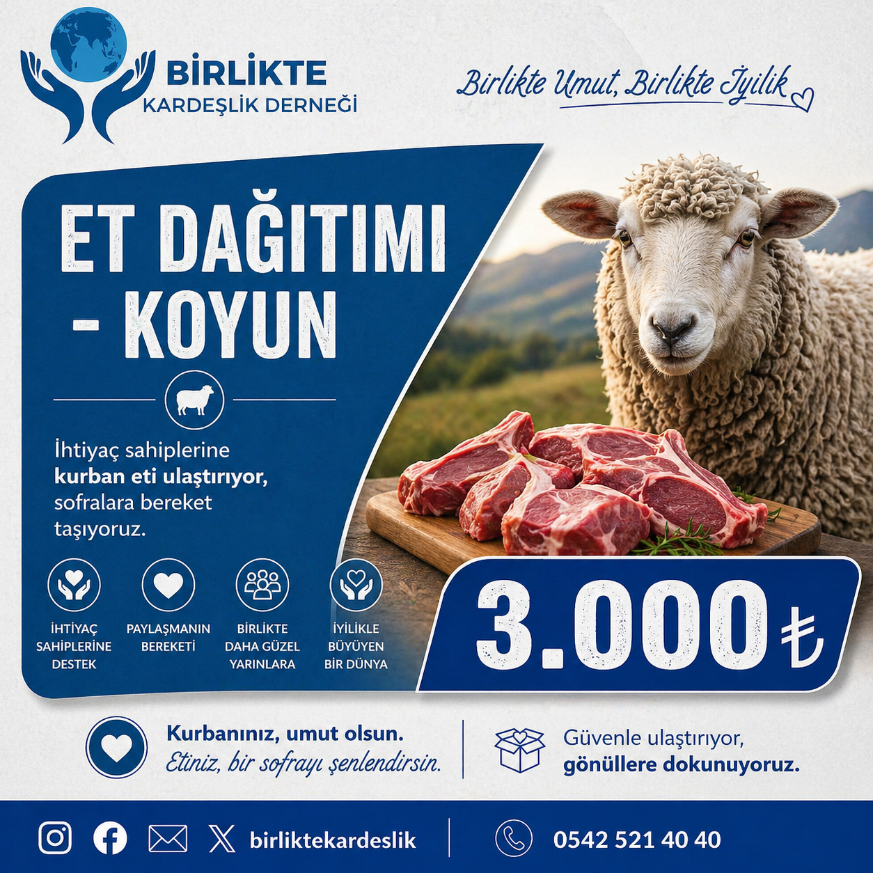 ET DAĞITIMI - KOYUN